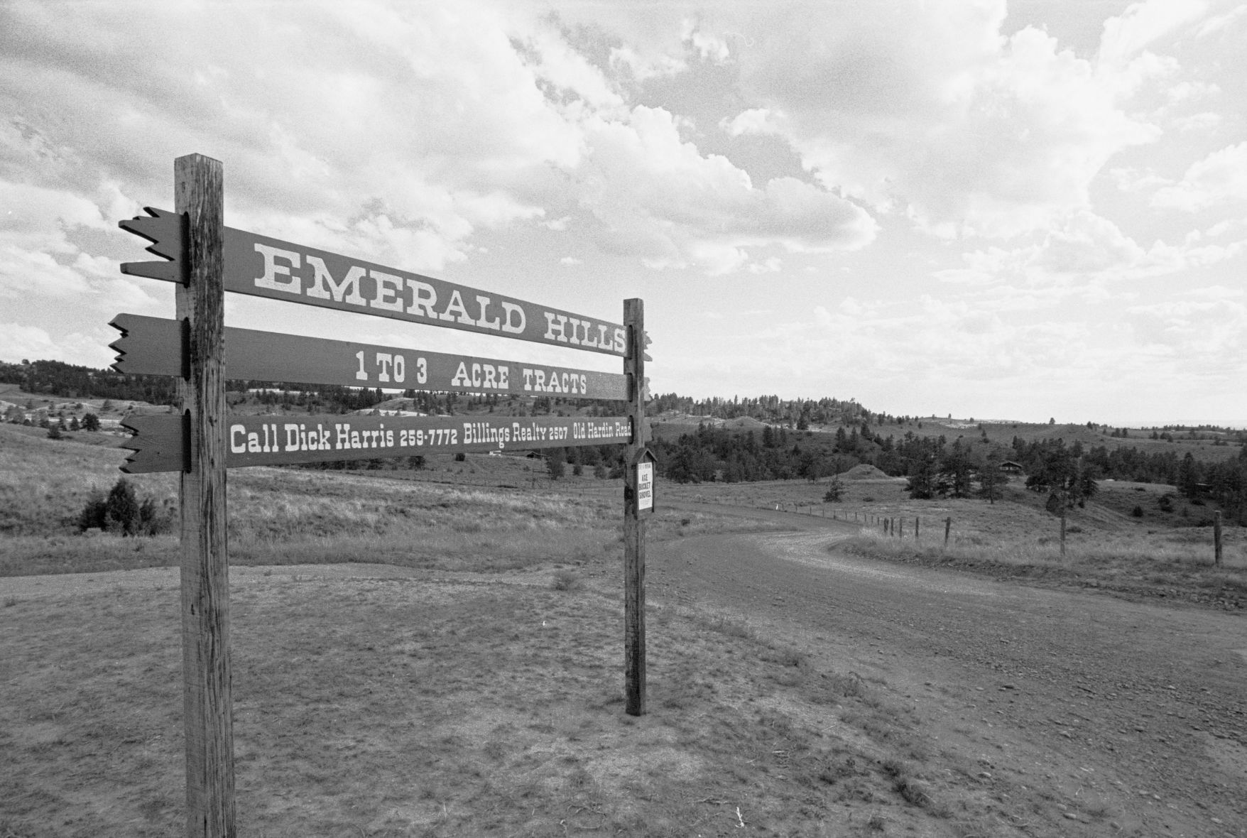 Emerald Hills